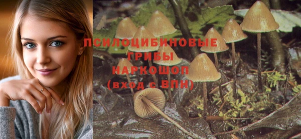 кокс Козловка