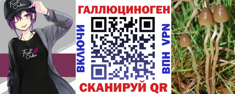 Галлюциногенные грибы Cubensis  Краснокамск 